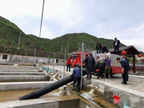 市漁業(yè)站引進(jìn)新品種傳授新技術(shù)，助推畜牧漁業(yè)飼料銷售新格局