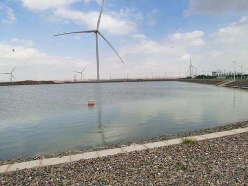 智慧漁業(yè) 水質(zhì)監(jiān)測(cè)守護(hù)藍(lán)色生態(tài)，協(xié)同飼料銷售驅(qū)動(dòng)產(chǎn)業(yè)升級(jí)