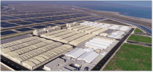 恒興 中國水產(chǎn)民族品牌的崛起之路