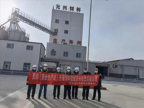 筑牢安全防線，保障市場供應(yīng)——市畜牧業(yè)服務(wù)中心開展春節(jié)前飼料生產(chǎn)企業(yè)安全生產(chǎn)與銷售專項檢查